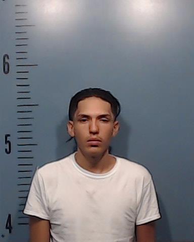 Flores, Manuel Israel booking photo