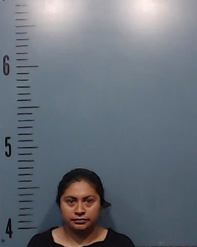 Vasquez-Estuay, Hilda booking photo