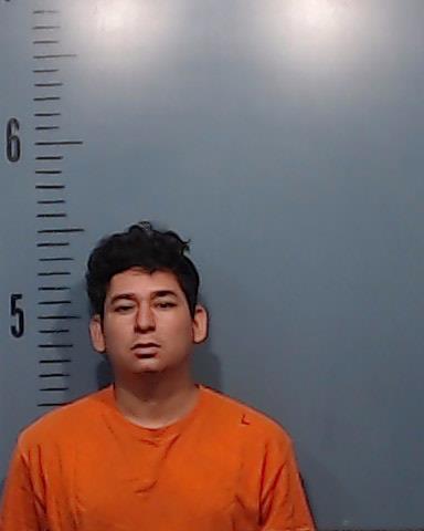 Alfaro-Lainez, Andres booking photo