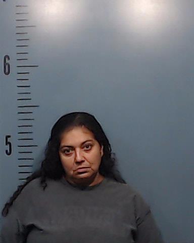 Serbin, Sonia booking photo