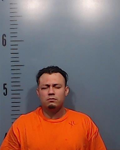 Goodman, Nicholas Samuel booking photo