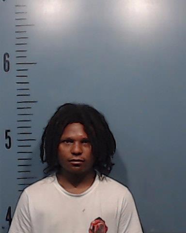 McBride, Terrian A W booking photo