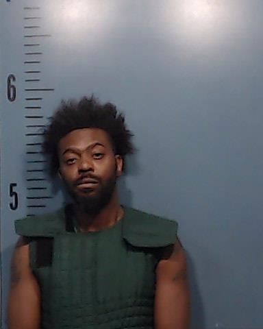 Polk, Christopher Lee booking photo