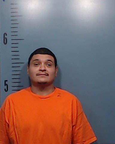 Villalovas, Jesus Alberto booking photo