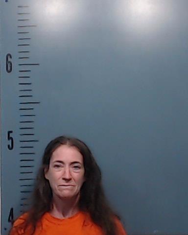 Chavez, Michelle Lee booking photo