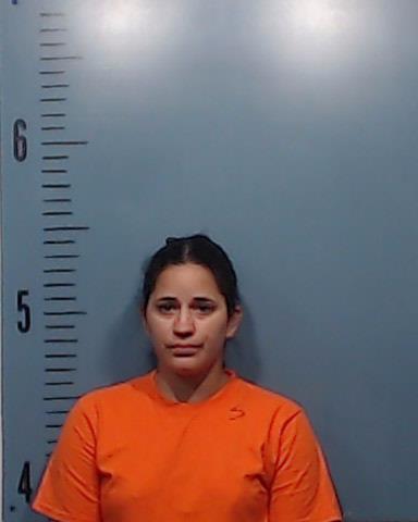 Rodriguez-Villalon, Lisandra Moraima booking photo