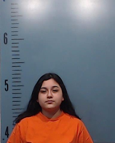 Guerrero, Henessy Renea booking photo