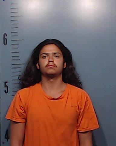 Bower, Anthony Edward, Jr. booking photo