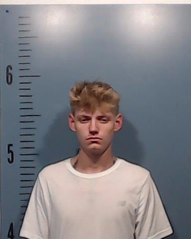 Lindsey, Larry Bruce booking photo