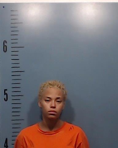 Fletcher, Bobbie Lynnette booking photo