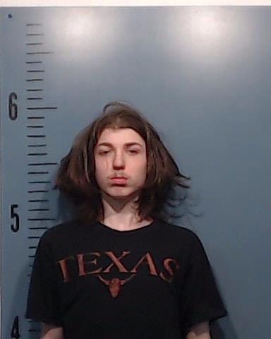 Bertrand, Carter Brandon booking photo