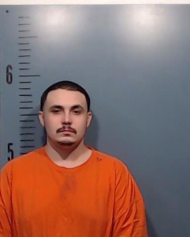 Anderson Alvarado, Cori Alexander booking photo