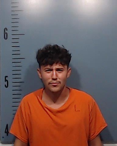 Almanza, Carlos Alfonso, Jr. booking photo