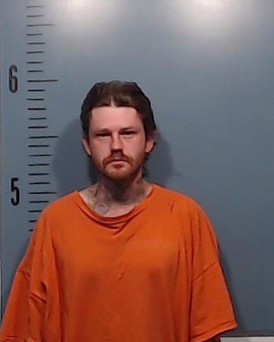 Pickwell, Aaron John booking photo