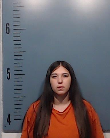 Casillas, Anna Nycole booking photo