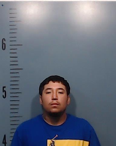 Castillo, Jesse Lee booking photo