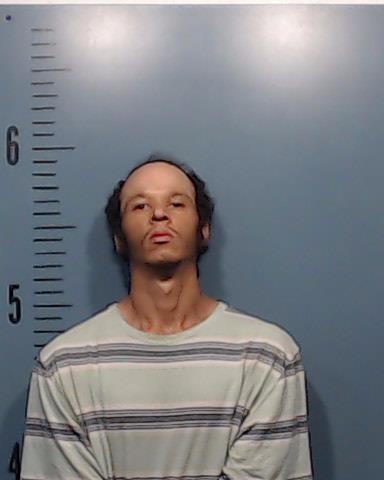 Stanch, Wilbert Junior booking photo