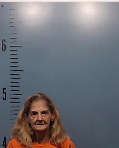 Lynn, Michelle Ann booking photo