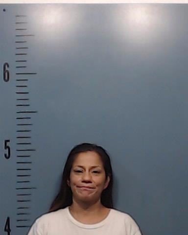 Gonzalez, Precilla Lee booking photo