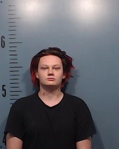 Endres, Jesse Neel's, II booking photo