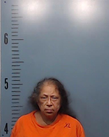 Aleman, Lorena Ann booking photo