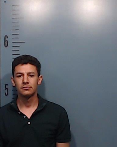 Perez-Mejia, Elvin Enrique booking photo