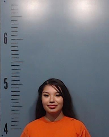 Cortinez, Elizabeth Michelle booking photo