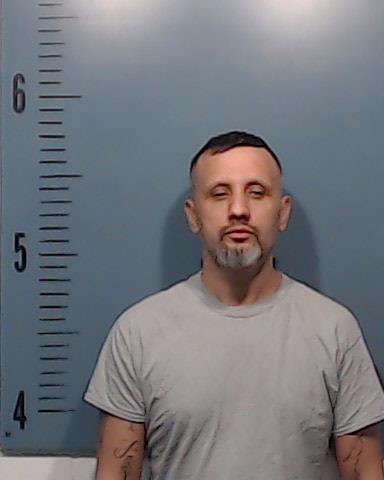 Wilkins, Gabriel Lenard booking photo
