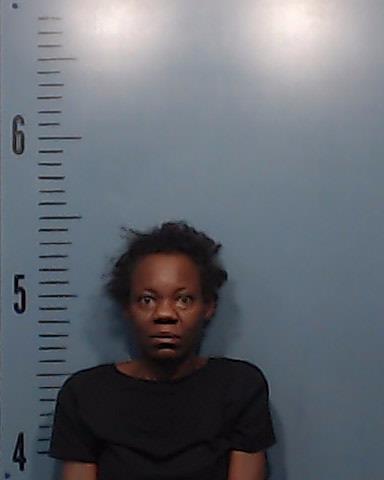 Lee, Natoya Sharon booking photo