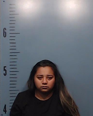 Ojeda Guillen, Lizbeth Abigale booking photo