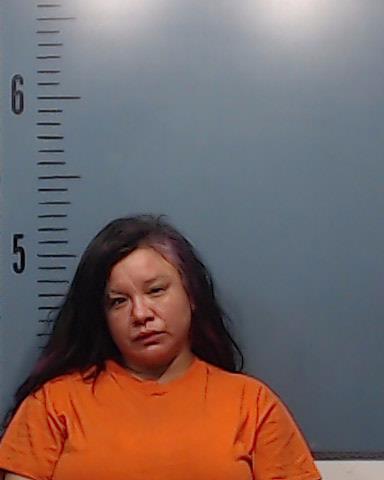 Vasquez, SanJuana Fernandez booking photo