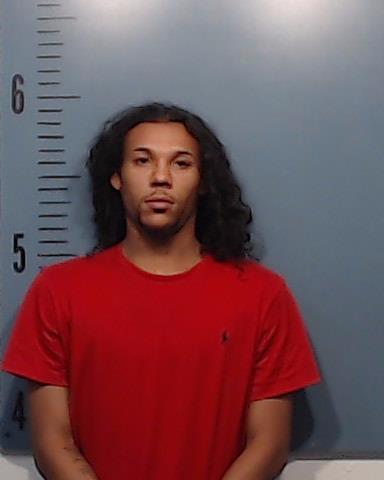 Miller, Andrew Ray booking photo