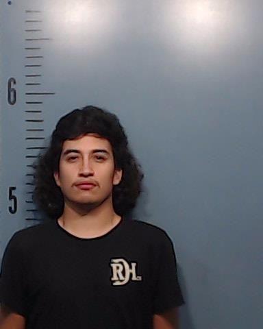 Alarcon, Alex arrested by Taylor County SO/PD