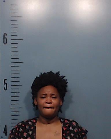 Williams, Teoisha Javia arrested by Taylor County SO/PD
