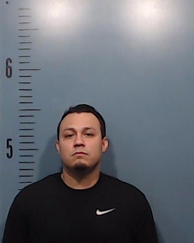 Goodman, Nicholas Samuel arrested by Taylor County SO/PD