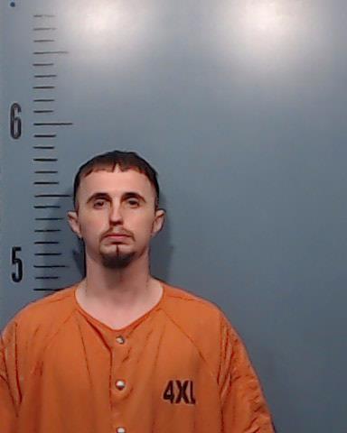 Wilkins, Matthew Lynn arrested by Taylor County SO/PD