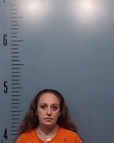 Castillo, Lisa Anne arrested by Taylor County SO/PD