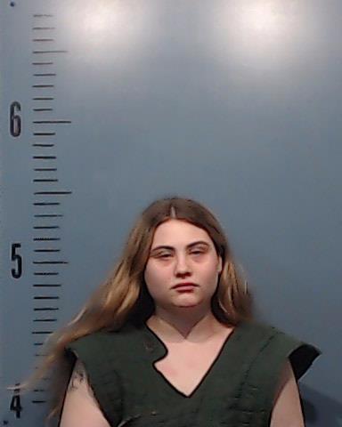 Boland-Araujo, Chloe Alyson arrested by Taylor County SO/PD