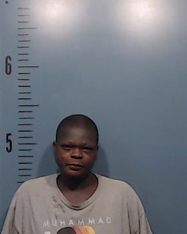 Gipson, Daimenatta Sierra arrested by Taylor County SO/PD
