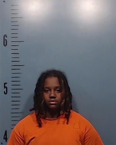 Turner, Dei’janae Monique arrested by Taylor County SO/PD