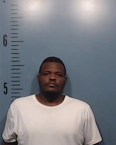 Wilson, Dominique Deshawn arrested by Taylor County SO/PD