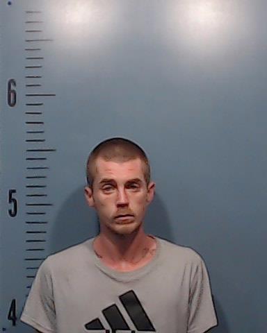 Mosley, Michael Dewayne arrested by Taylor County SO/PD