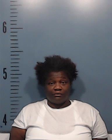 Snow, Shanna Lashay booking photo