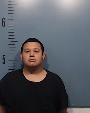 Ledesma, Fabian Xzavier booking photo