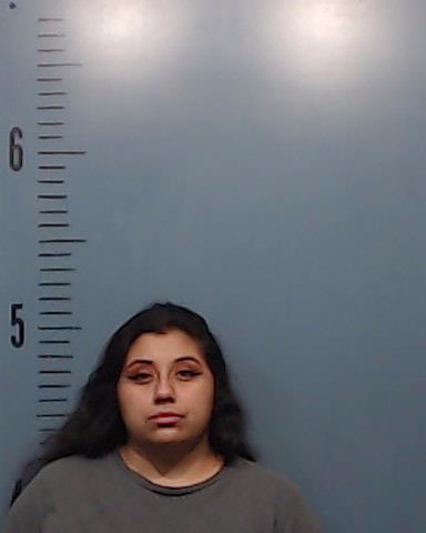 Sanchez, Jasmine Ivette booking photo