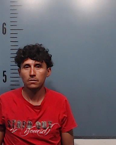 Diaz Garcia, Jose Maurisio booking photo