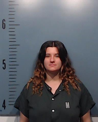 Brooks, Ashley Nicole booking photo