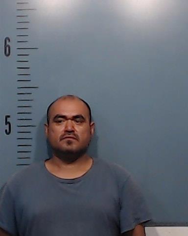 Hernandez-Sandoval, Miguel booking photo