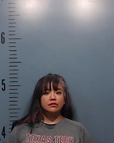 Vasquez, SanJuana Fernandez booking photo