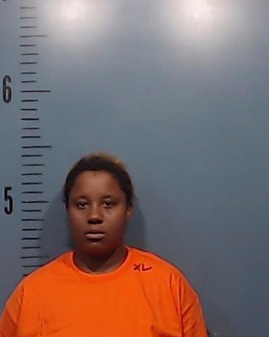 Sander, Makayla Sheree booking photo
